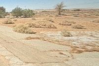 Land for sale in San Bernardino County, California