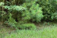 Timberland Property for sale in Kent County, Delaware