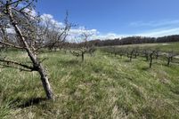 Timberland Property for sale in Manistee County, Michigan