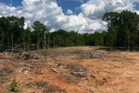 Land for sale in Charlotte County, Virginia