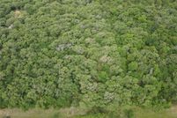 Undeveloped Land for sale in Cooke County, Texas