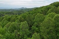 Undeveloped Land for sale in Polk County, Tennessee