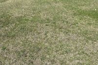 Land for sale in Oconto County, Wisconsin