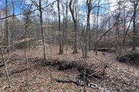 Timberland Property for sale in Campbell County, Virginia