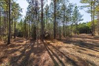 Land for sale in San Augustine County, Texas