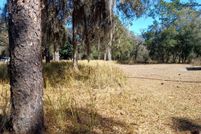 Undeveloped Land for sale in Marion County, Florida