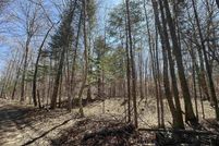 Undeveloped Land for sale in Schoolcraft County, Michigan