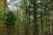 Land for sale in Lauderdale County, Alabama