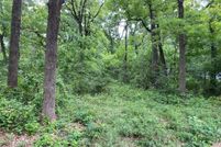 Undeveloped Land for sale in Navarro County, Texas