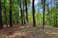 Undeveloped Land for sale in Nacogdoches County, Texas