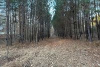Farm and Ranch for sale in Chatham County, North Carolina