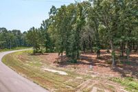 Undeveloped Land for sale in Henderson County, Texas
