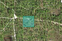 Undeveloped Land for sale in Polk County, Florida