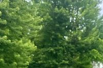 Undeveloped Land for sale in Wayne County, Michigan