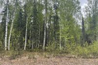 Land for sale in Matanuska-Susitna Borough, Alaska
