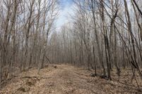 Recreational Property for sale in Taylor County, Wisconsin