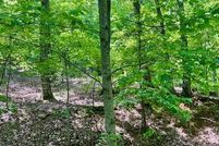 Hunting Property for sale in Dawson County, Georgia