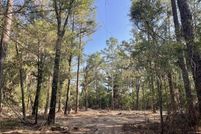 Undeveloped Land for sale in Tangipahoa Parish, Louisiana