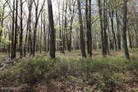 Homesite for sale in Pike County, Pennsylvania