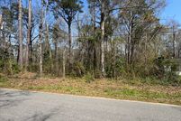 Undeveloped Land in Berkeley County, South Carolina