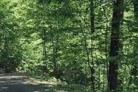 Land for sale in Towns County, Georgia