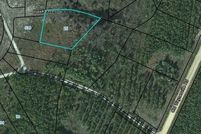 Undeveloped Land for sale in Brantley County, Georgia