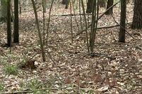 Lakefront Property for sale in Morgan County, Georgia