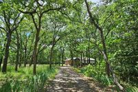 Land for sale in Hunt County, Texas