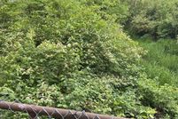 Land for sale in Marion County, Indiana