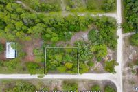 Land for sale in Dixie County, Florida