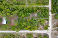 Land for sale in Dixie County, Florida