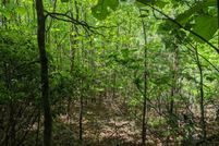 Undeveloped Land for sale in Cherokee County, North Carolina