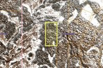 Undeveloped Land for sale in Matanuska-Susitna Borough, Alaska