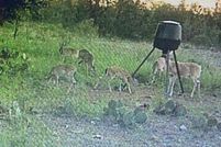 Land for sale in Brown County, Texas