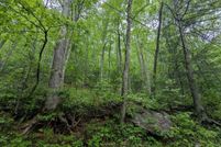 Land for sale in Gilmer County, Georgia