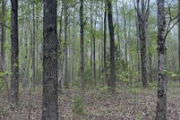 Undeveloped Land for sale in Buckingham County, Virginia
