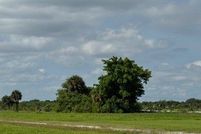 Undeveloped Land for sale in Glades County, Florida