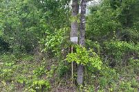 Recreational Property for sale in Ashley County, Arkansas