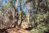 Undeveloped Land for sale in Jasper County, Texas