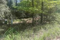 Undeveloped Land for sale in Jasper County, Texas