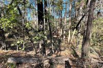 Undeveloped Land for sale in Sabine County, Texas