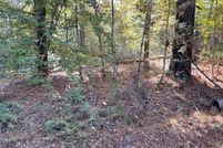 Undeveloped Land for sale in Sabine County, Texas