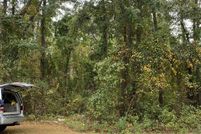 Land for sale in Edgecombe County, North Carolina