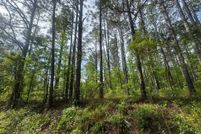Land for sale in Chilton County, Alabama