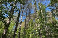 Undeveloped Land for sale in Franklin County, Alabama