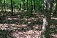 Land for sale in Hall County, Georgia