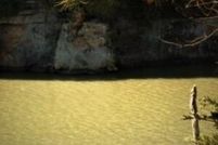 Timberland Property for sale in Johnson County, Arkansas