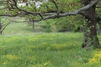 Land for sale in Benton County, Arkansas