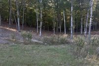 Land for sale in Fannin County, Georgia