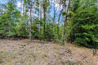 Undeveloped Land for sale in Marion County, Florida